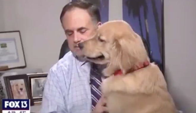 A Tampa Bay weatherman's dog just delivered a perfect forecast