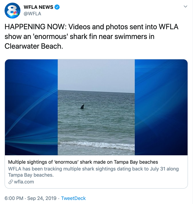 Tampa Bay news stations fall for hilariously fake shark hoax