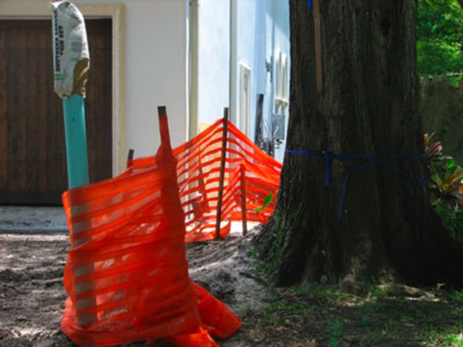SEWER PIPE: Shein's photo shows a sewer clean-out pipe rising from within tree protection barriers. The builder says this didn't harm the tree. - Courtesy Of Leigh Shein