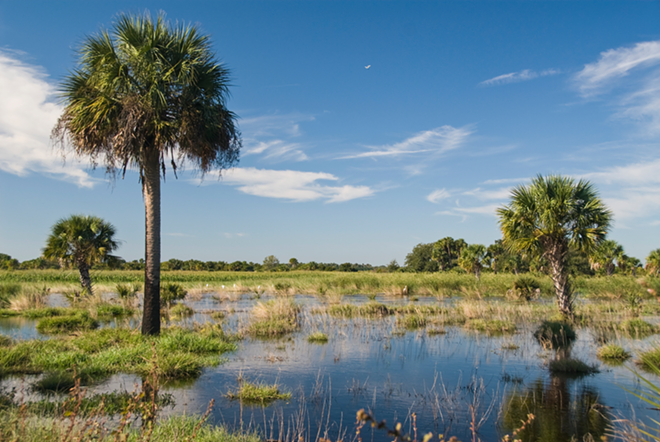 WORTH SAVING: Wetlands in the Northern Everglades. - USDA/NRCS