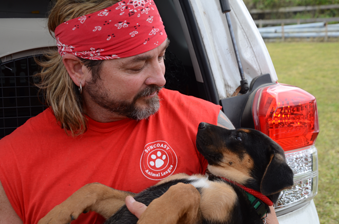 DOG’S BEST FRIEND: Suncoast Animal League volunteer Clint Wilson comforts a new rescue. - Cathy Salustri