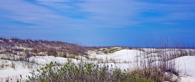 Dunes at Anastasia State Park in St. Augustine, Florida. - Florida State Parks