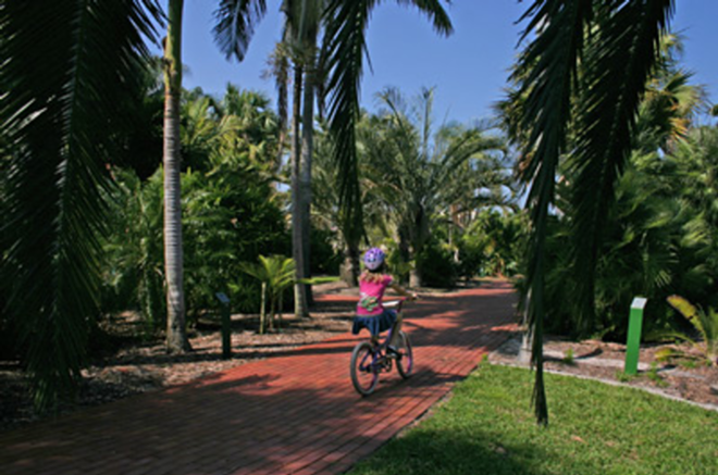 WHERE'S SIDESHOW BOB? Biking amongst the anthropomorphic flora at the Palm Arboretum. - Phil Bardi