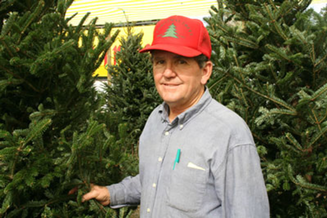 51 YEARS: Dan Parker has been selling Christmas trees since he was 14. - Wayne Garcia
