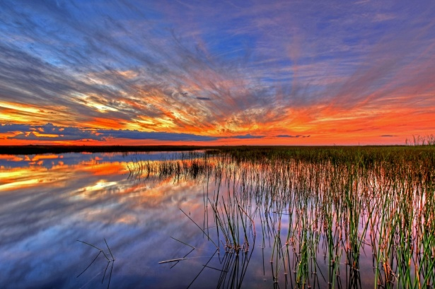 Ron DeSantis has already done more for the Everglades than his predecessor. - publicdomainpictures.net