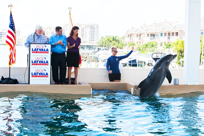 Nicholas the dolphin headlines Latvala's campaign kickoff. - Kimberly DeFalco