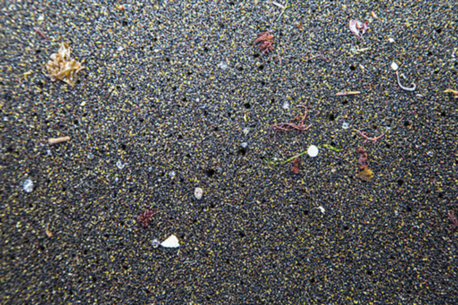 Microplastics accumulating on the ocean floor near the Azores. - race for water