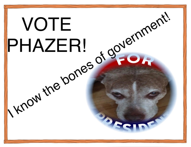 Phazer had a lot of campaign signs, but sadly lost the election. - Phazer for President