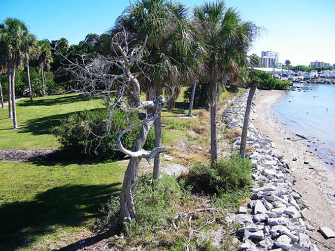 SCENIC OUTLOOK: "There aren't a lot of disc golf courses that have waterfront," said a member of the Tocobaga club. - Kate Bradshaw