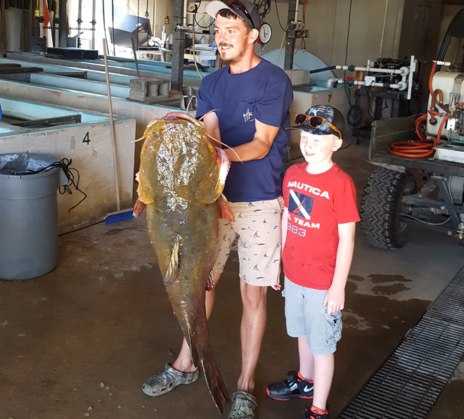 Florida man catches record-breaking 69-pound catfish