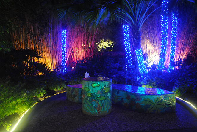 The Florida Botanical Gardens is always a dazzling display of foliage and color, but even moreso during the annual Holiday Lights celebration. - Cathy Salustri