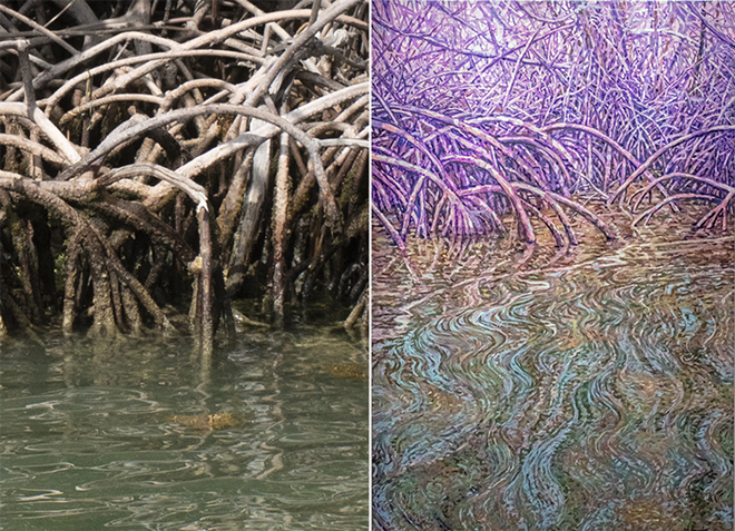 Left: real mangroves; Right: magical mangroves - JENNIFER RING