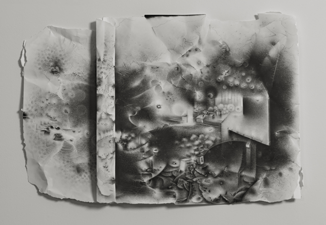 SHADES OF GRAY AND BLACK: Charlotte Schultz's "The impossibility of keeping borders: a teeming network of things erupts from within the geological folds of a separation."  - Dunedin Fine Art Center