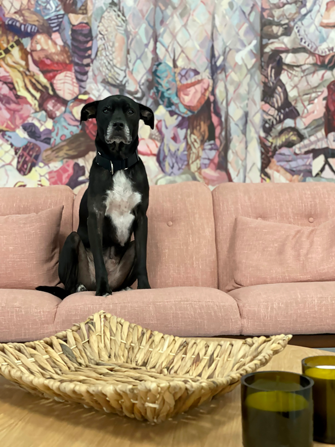 Augy in front of a painting by Neil Bender at Tempus Project's 'Home is Anywhere You Hang Your Head' in Tampa, Florida. - JENNIFER RING
