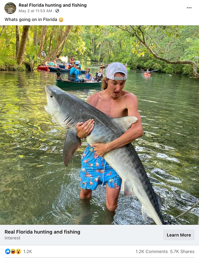 Viral photo of Tampa Bay man with tiger shark sparks investigation from wildlife officials