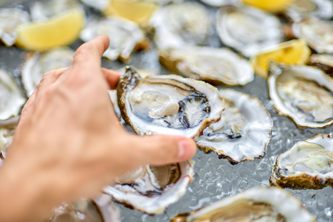 Tampa Oyster Fest happens next month and it benefits local educators