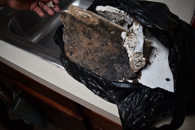 Pieces of Walden's broken ceiling that were covered in black mold, which she kept as evidence. - Justin Garcia