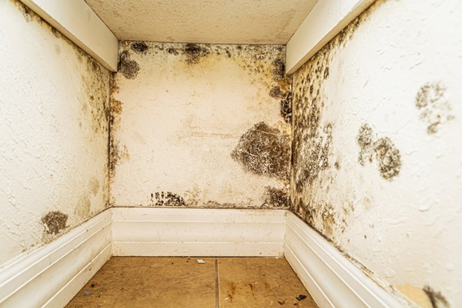 Black mold inside a unit Silver Oaks Apartments in Tampa, Florida on April 19, 2022. - Photo by Dave Decker