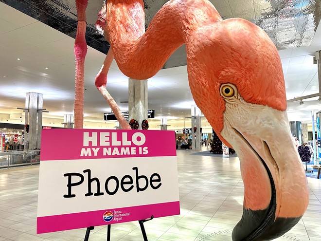 Tampa International Airport said that Phoebe received 16,122 votes. - Photo via Tampa International Airport