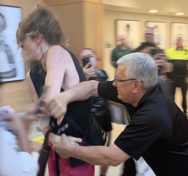 USF Police Chief Chris Daniel elbows a protester in the back while twisting her wrist. - Screenshot from video provided by USF Students for a Democratic Society
