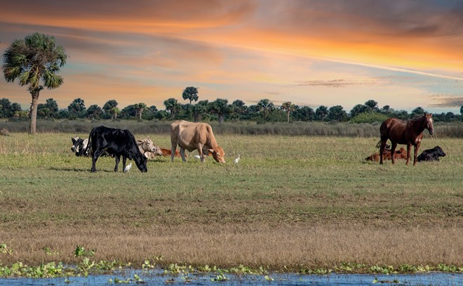 Florida approves plan to spend $19 million to conserve rural land