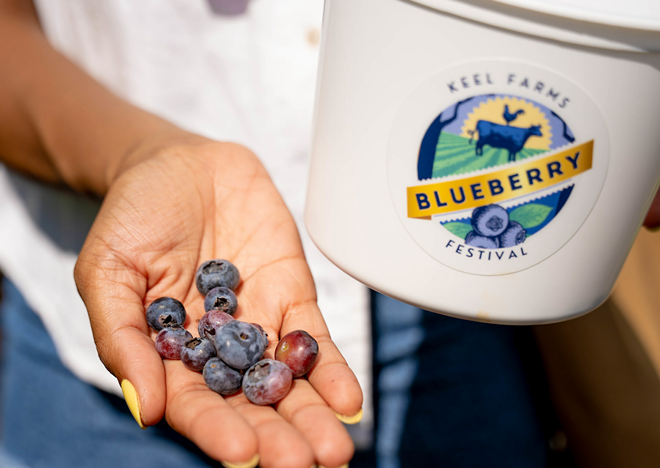 Keel Farms Blueberry Festival happens in Plant City, Florida every Saturday and Sunday through April 21, 2024. - Photo via Keel Farms/Cision PRWeb