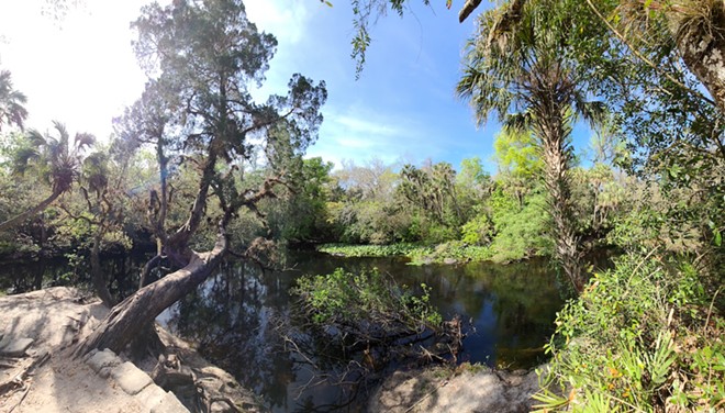 A trail on the Hillsborough River Park Campground on March 5, 2023. - Photo by Ray Roa