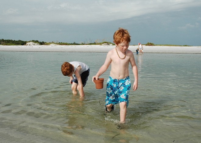 Honeymoon Island is the most popular park in the entire system, drawing more than 1 million people a year. - Photo via Florida State Parks