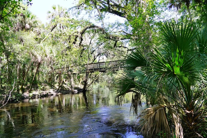 Hillsborough River State Park - Photo via Feng Cheng/Shutterstock