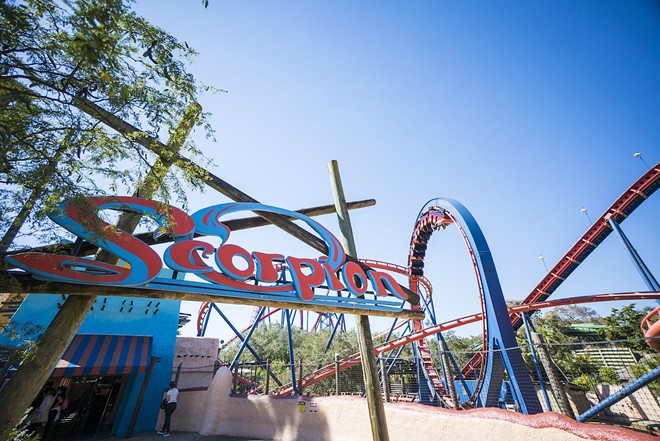 Scorpion - Photo by Jesse Adair/Busch Gardens Tampa Bay