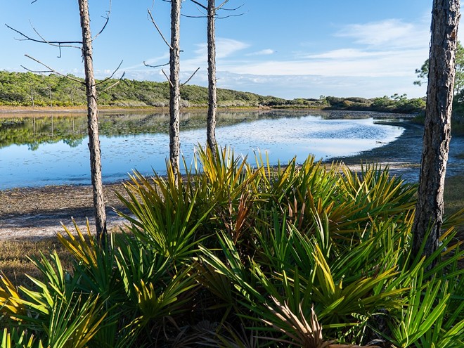 Topsail Hill Preserve State Park in Santa Rosa Beach, Florida includes 1,600-acres of land. - Photo via FLStateParks/Facebook