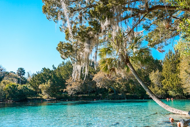 Silver Glen Springs in Marion County, Florida. - Photo via Exploring and Living/Shutterstock