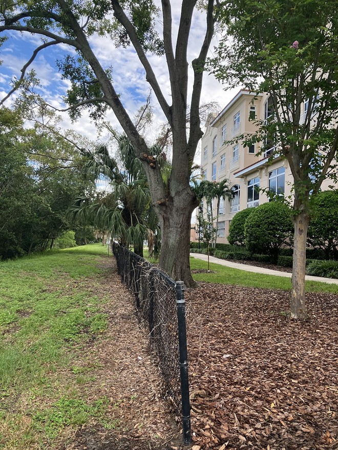 The divide between Little Bayou and Westminster Shores retirement community in St. Petersburg, Florida. - Photo by Thomas Hallock