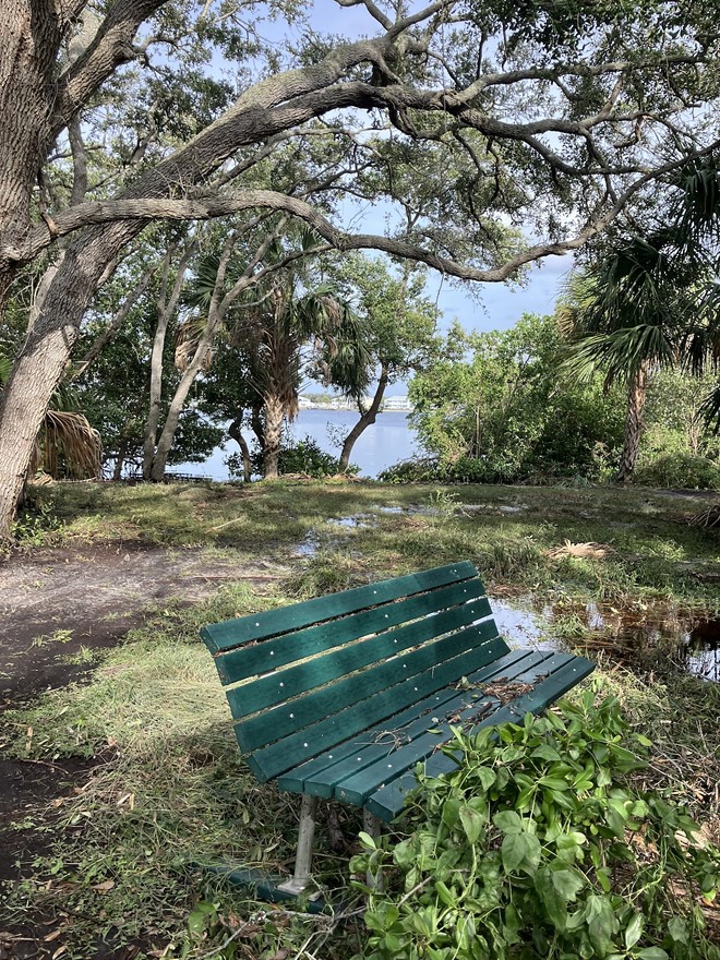 Hurricane Helene had turned my favorite bench sideways, but except for some debris on the forest floor, little has changed. - Photo by Thomas Hallock