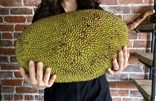 Jackfruit from Pine Island, FL that will be used make SPF's award-winning jackfruit kimchi (Good Food Awards winner 2019). - c/o St. Pete Ferments