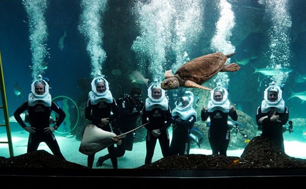 The Florida Aquarium introduces new SeaTREK underwater experience