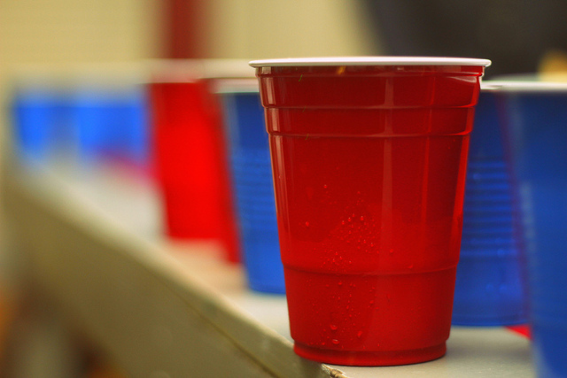 On the menu: Dunedin Beer Olympics set for Saturday | Food News | Tampa |  Creative Loafing Tampa Bay