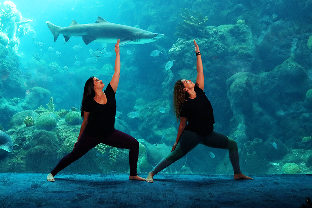 The Florida Aquarium (@floridaaquarium) • Instagram photos and videos