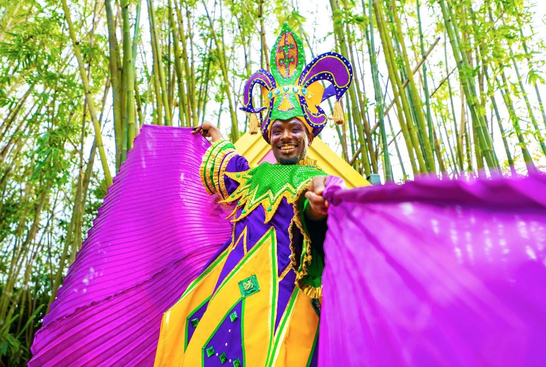 Busch Gardens Tampa Bay kicks off Mardi Gras celebrations Tampa