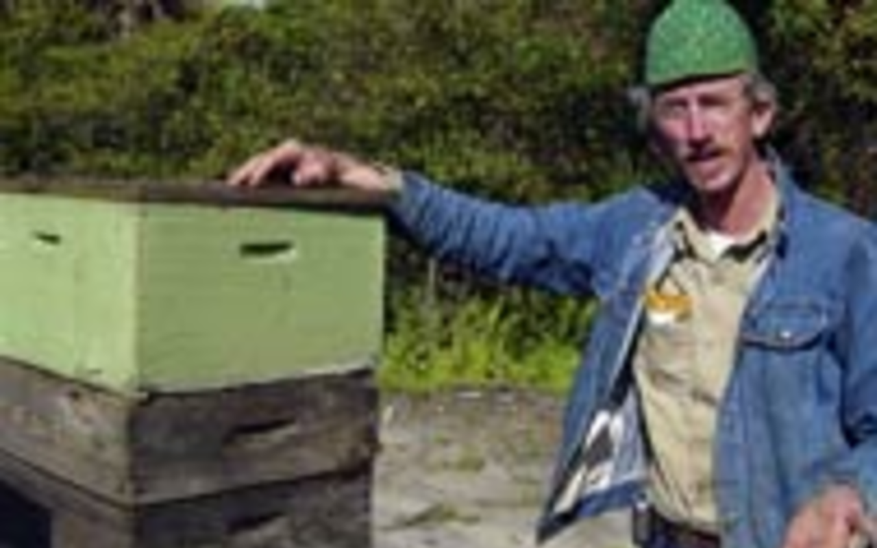 WHAT'S THE BUZZ? Marion Lambert with several boxes of his honeybees.