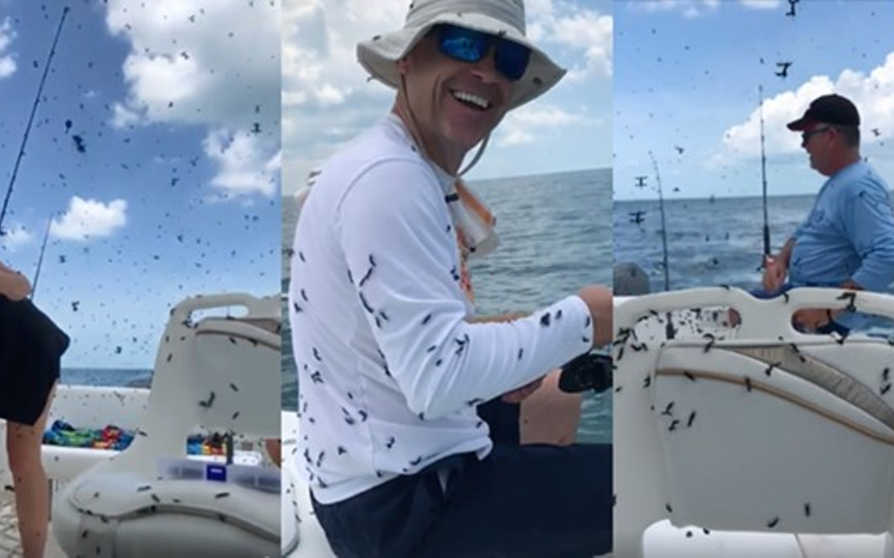 A lovebug ‘swarmageddon’ absolutely destroyed a fishing trip in Florida
