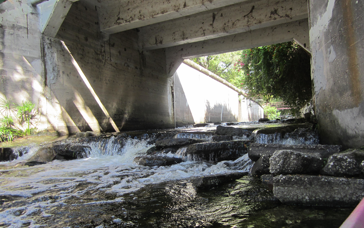 Rapids through the Roser Park neighborhood of Booker Creek. The next great urban whitewater run?