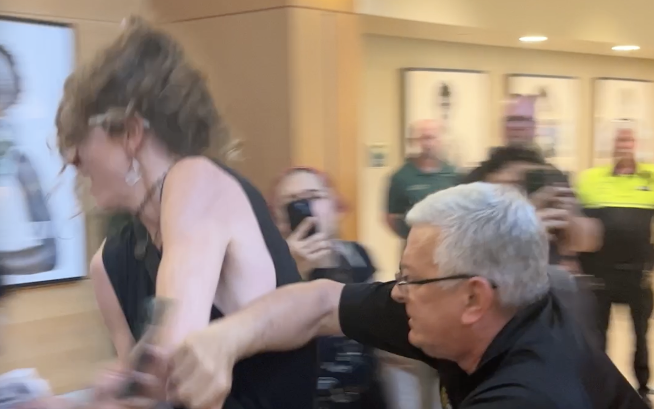 USF Police Chief Chris Daniel elbows a protester in the back while twisting her wrist.