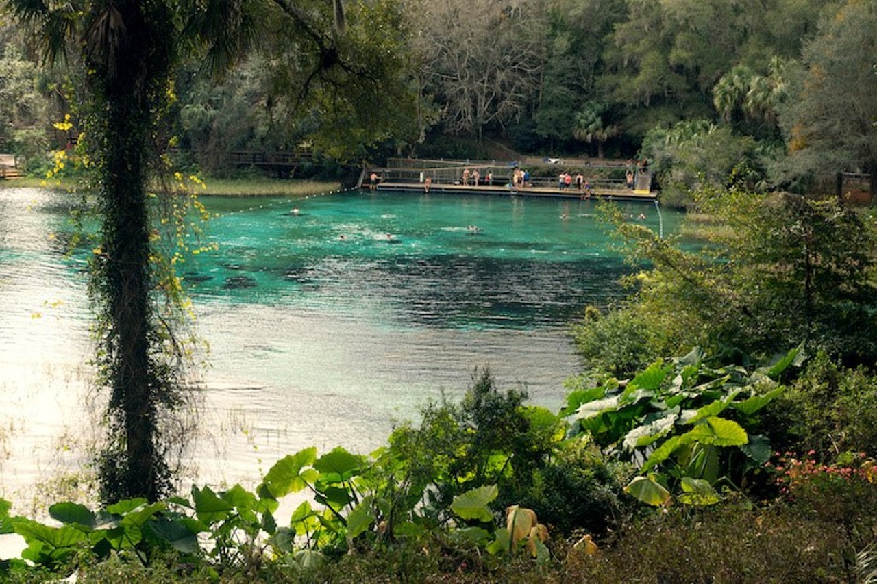 Rainbow Springs State Park 
Estimated Drive Time from Tampa: 1 hour and 30 minutes
Rainbow Springs has a long history, but recent additions of manmade waterfalls and hills add to the grandeur of the spring. The clear, warm water makes it an ideal place to swim, snorkel and tube. Amenities available to guests include exhibits, shower stations, restrooms, laundry facilities, gardens and parking. The headspring is open from 8 a.m. to sunset every day; admission is $2 per persona and children under the age of 6 are granted free admission.
Photo via Adobe Images