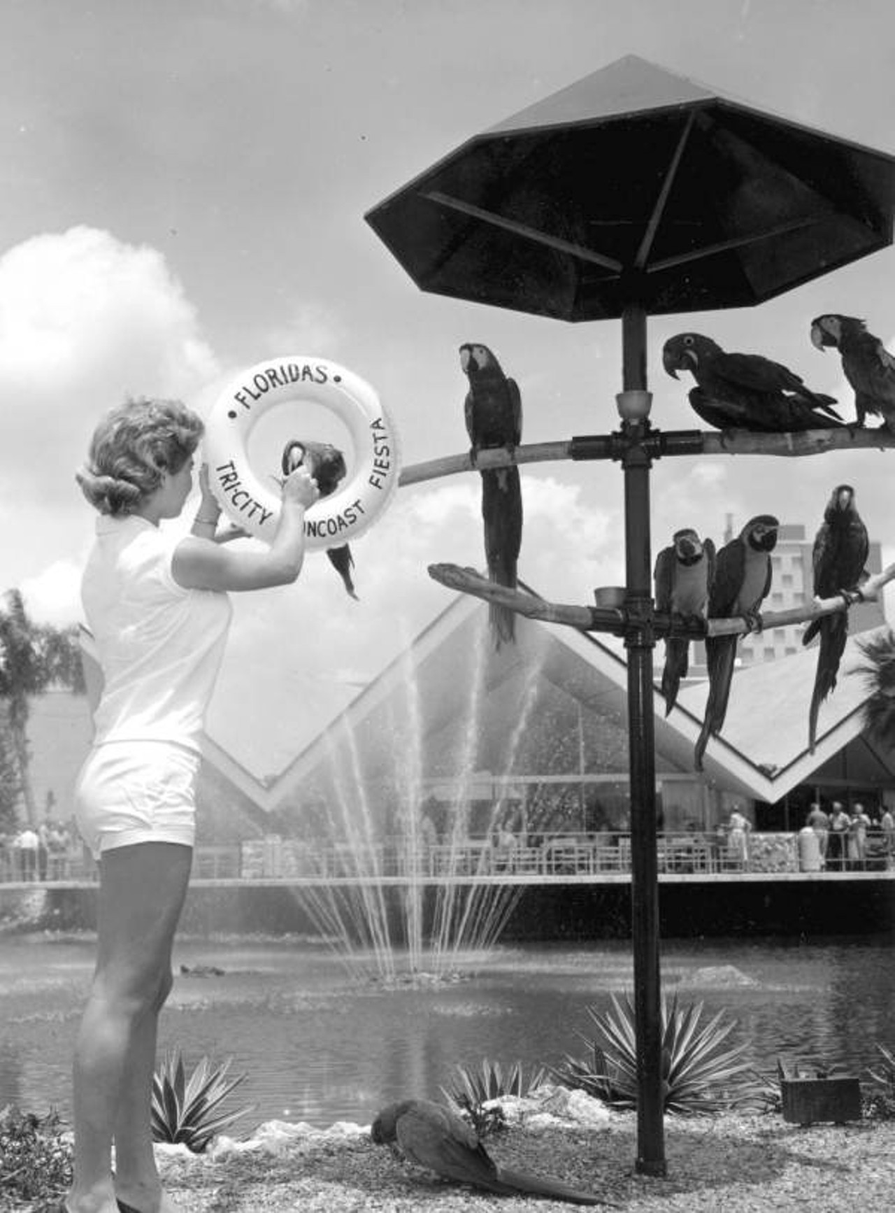 Norma Lado feeds birds at Busch Gardens during the Tri-city Suncoast Fiesta. 1960.