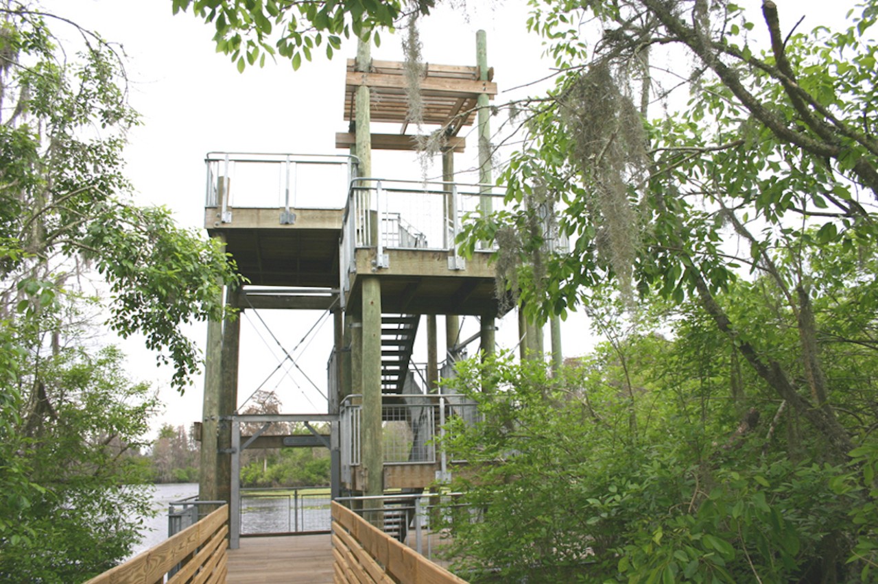 Climb the lookout tower and spot some gators at Lettuce Lake
6920 E Fletcher Ave., Tampa. 813-987-6204
Open from 8 a.m.-7 p.m. during the summer, this Hillsborough County park features a hardwood swamp forest, picnic and playground areas, a 1.25-mile paved exercise trail and 3,500-foot boardwalk with a scenic lookout tower. Expect a $2 entrance fee per vehicle.Photo via Hillsborough County/website