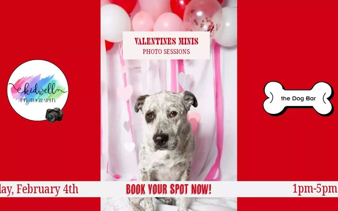 Image: Valentines Minis