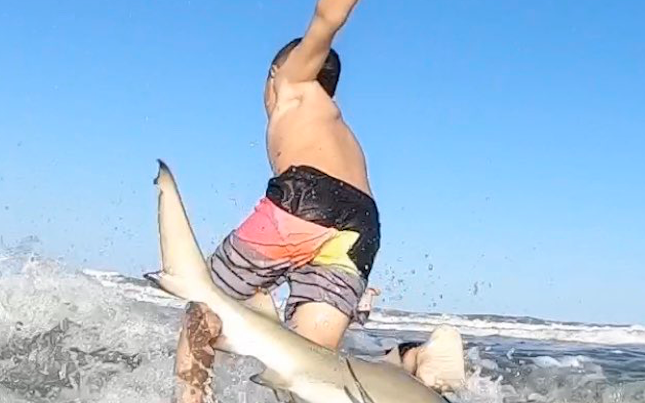 Video shows a shark colliding with a young Florida surfer last weekend