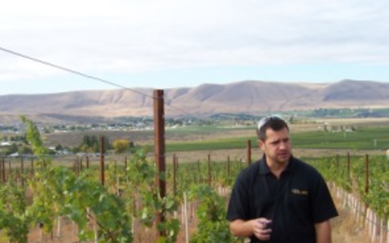 Col Solare winemaker, Marcus Notaro, in his young cabernet vineyard