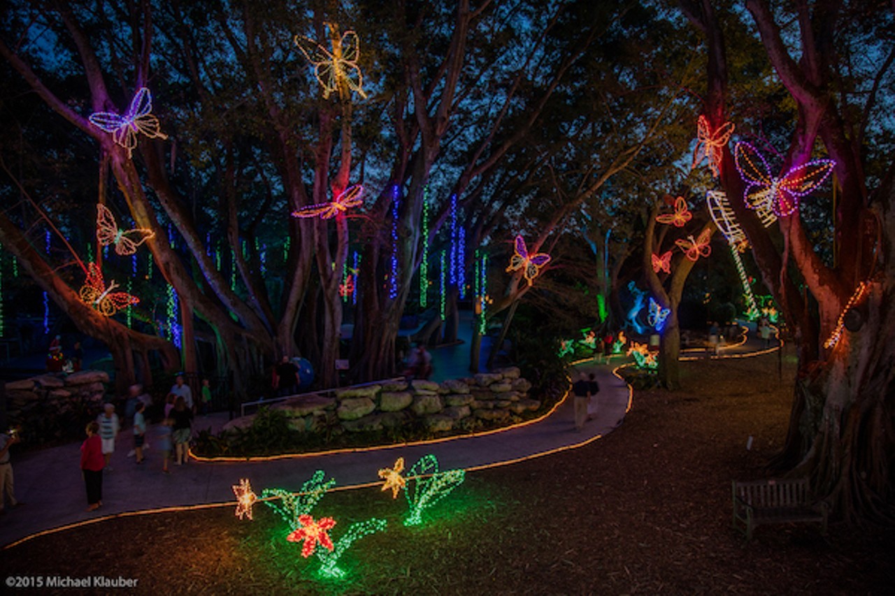 Holiday Lights in the Garden at the Florida Botanical Gardens in Largo
Dec. 1-30: 5:30-9:30 p.m.
Photo via Michael Klauber